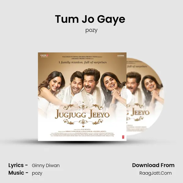 Tum Jo Gaye (Male Version) Song mp3 | pozy