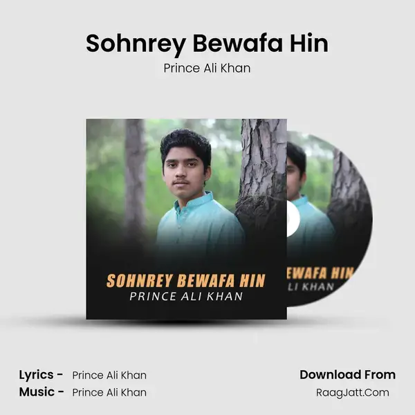 Sohnrey Bewafa Hin mp3 song