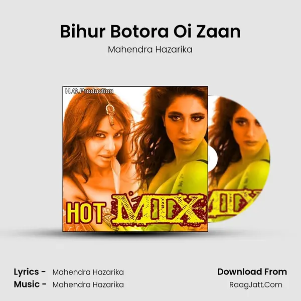 Bihur Botora Oi Zaan Song mp3 | Mahendra Hazarika