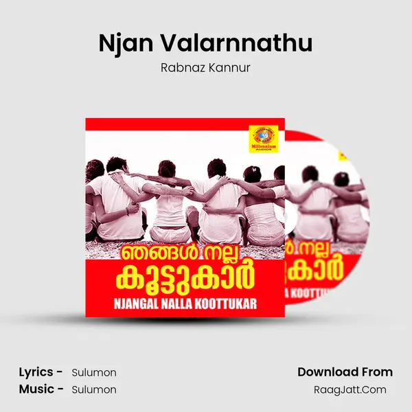 Njan Valarnnathu mp3 song