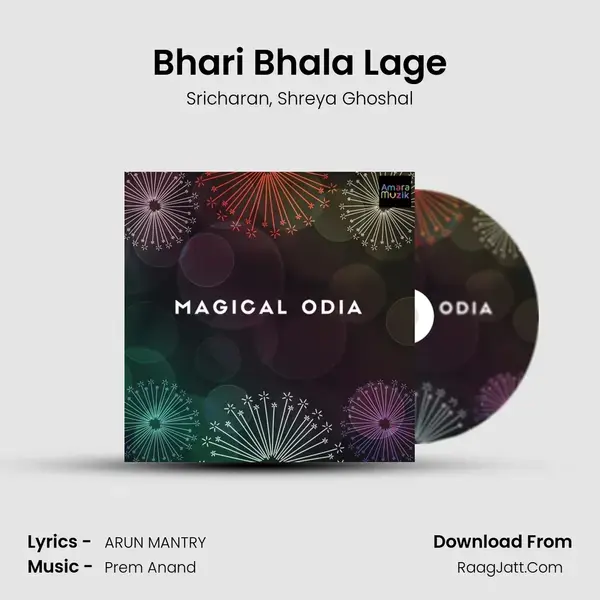 Bhari Bhala Lage Song mp3 | Sricharan