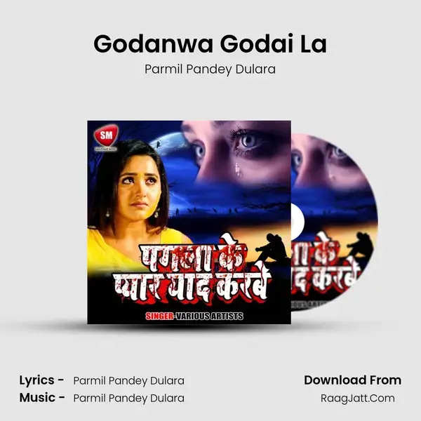 Godanwa Godai La Song mp3 | Parmil Pandey Dulara