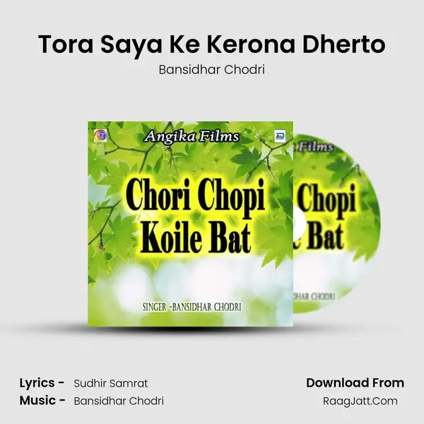 Tora Saya Ke Kerona Dherto Song mp3 | Bansidhar Chodri