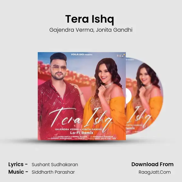 Tera Ishq (Lo-Fi Remix) mp3 song