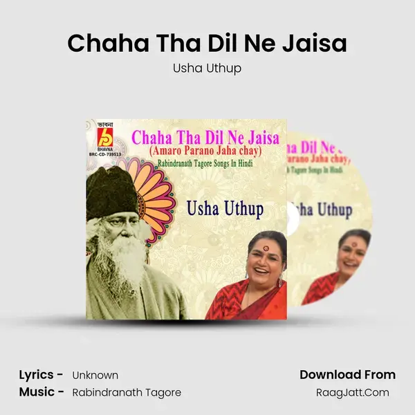 Chaha Tha Dil Ne Jaisa mp3 song