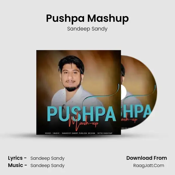 Pushpa Mashup mp3 song