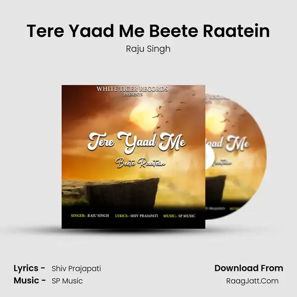 Tere Yaad Me Beete Raatein mp3 song