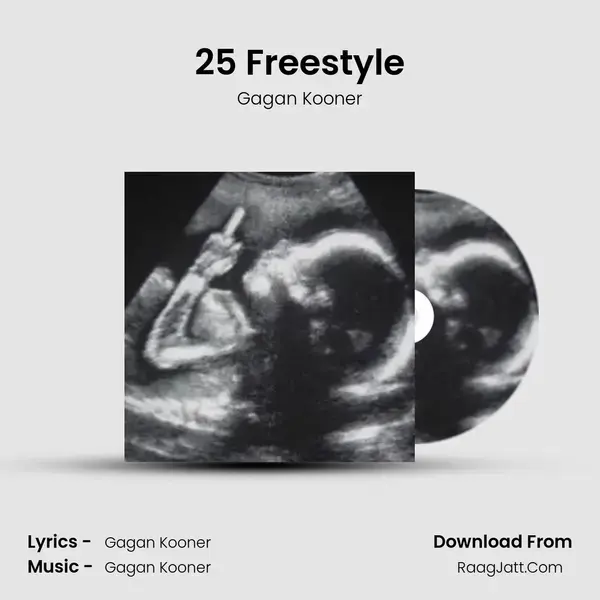 25 Freestyle poster