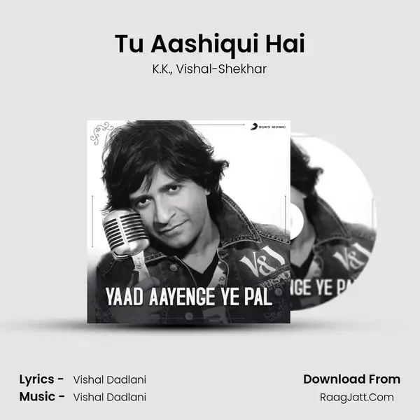 Tu Aashiqui Hai mp3 song