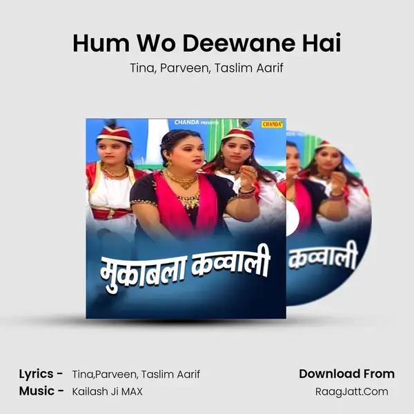 Hum Wo Deewane Hai mp3 song