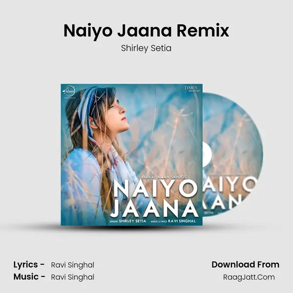 Naiyo Jaana Remix mp3 song