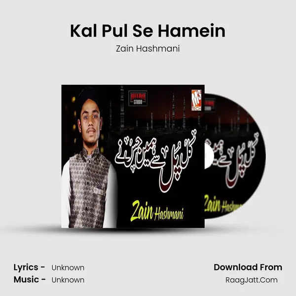 Kal Pul Se Hamein - Single - Zain Hashmani