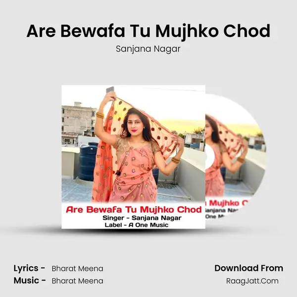 Are Bewafa Tu Mujhko Chod mp3 song