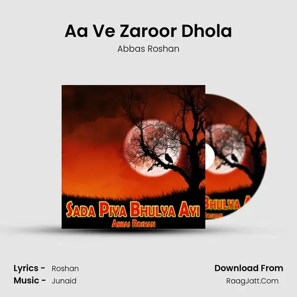 Aa Ve Zaroor Dhola mp3 song