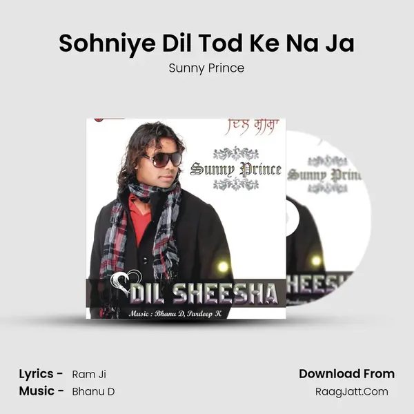 Sohniye Dil Tod Ke Na Ja mp3 song