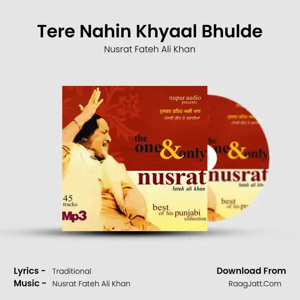 Tere Nahin Khyaal Bhulde Song mp3 | Nusrat Fateh Ali Khan