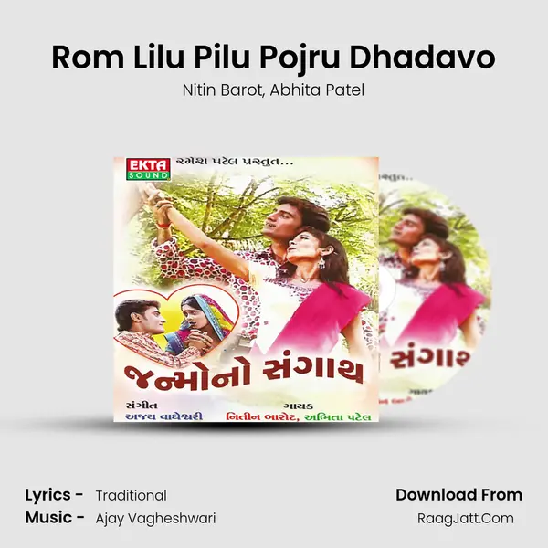 Rom Lilu Pilu Pojru Dhadavo Song mp3 | Nitin Barot