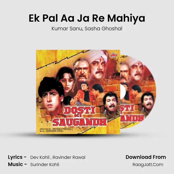 Ek Pal Aa Ja Re Mahiya Song mp3 | Kumar Sanu