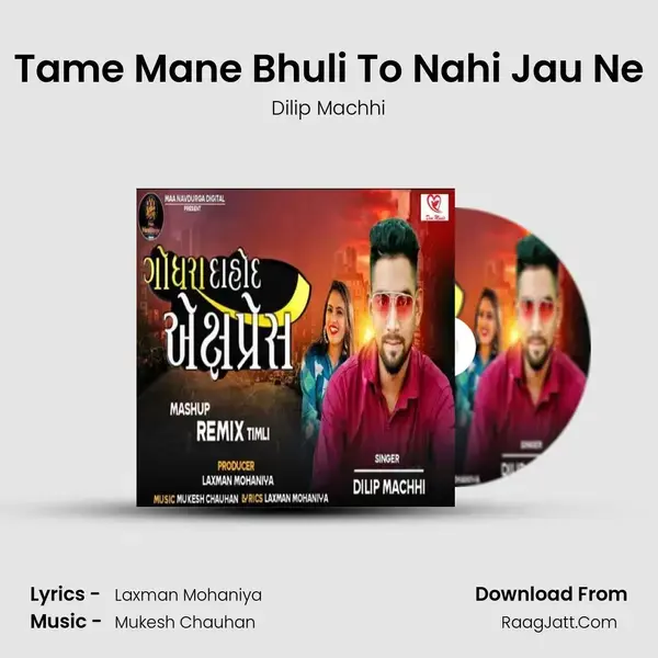 Tame Mane Bhuli To Nahi Jau Ne mp3 song