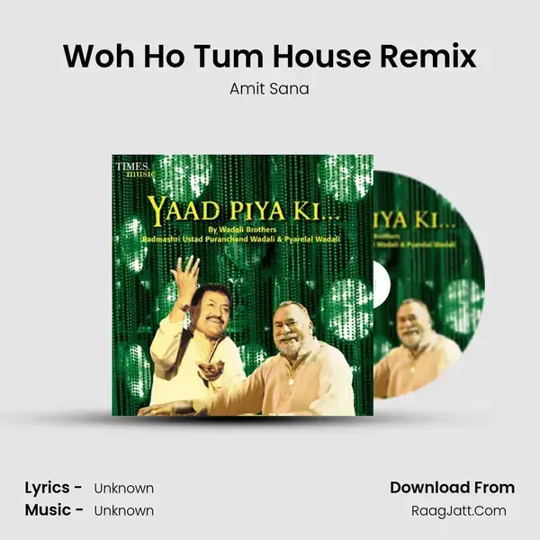 Woh Ho Tum House Remix Song mp3 | Amit Sana