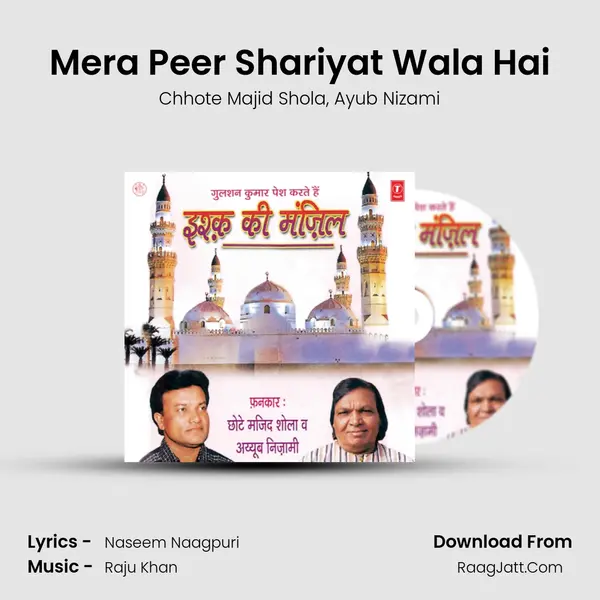 Mera Peer Shariyat Wala Hai mp3 song