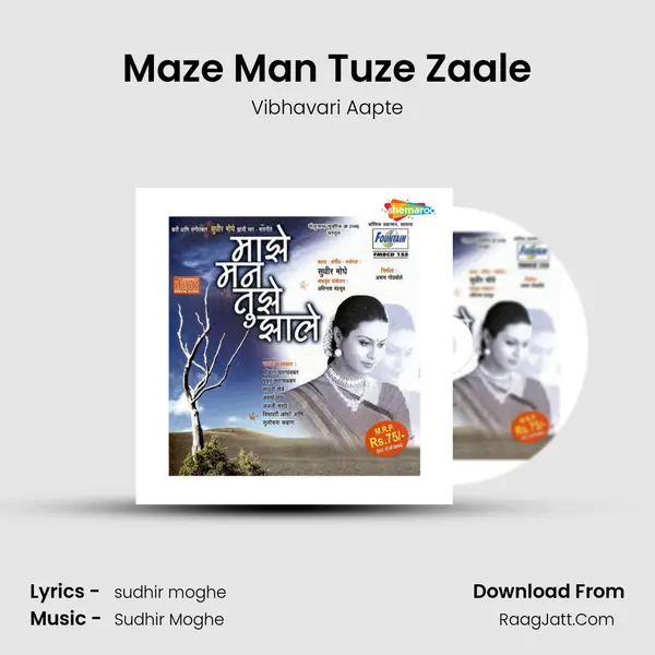 Maze Man Tuze Zaale Song mp3 | Vibhavari Aapte