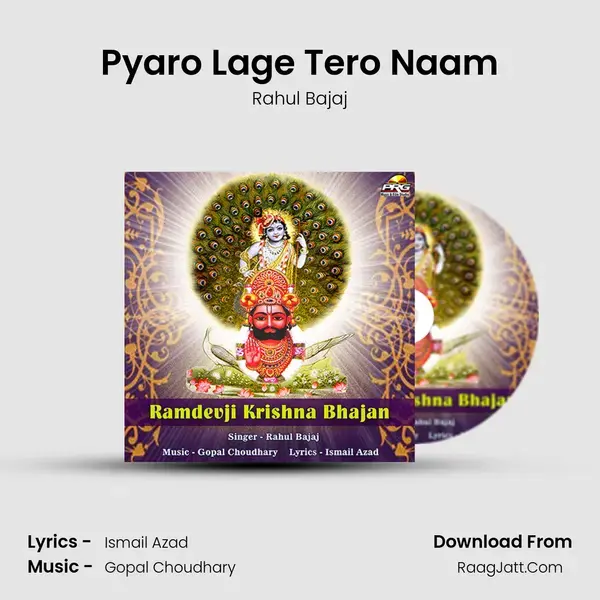 Pyaro Lage Tero Naam mp3 song