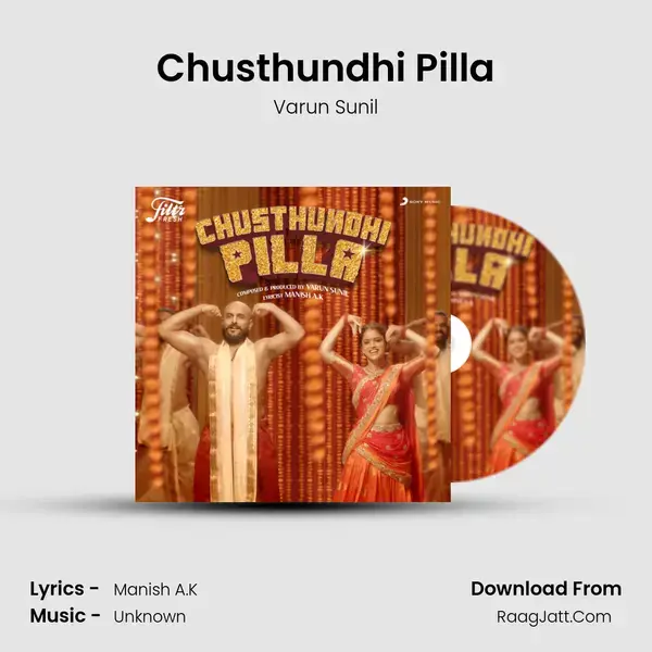 Chusthundhi Pilla mp3 song