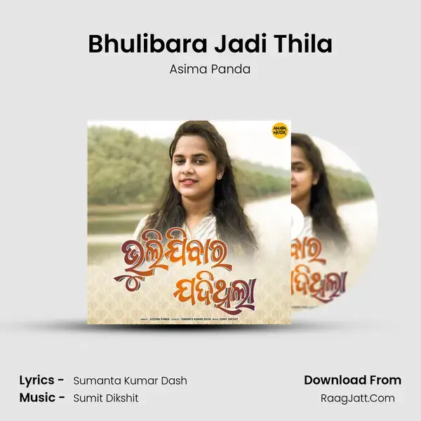 Bhulibara Jadi Thila - 