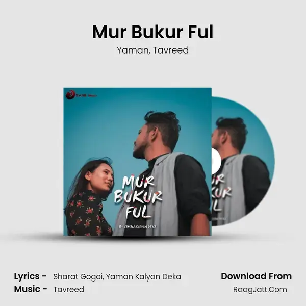 Mur Bukur Ful - Yaman