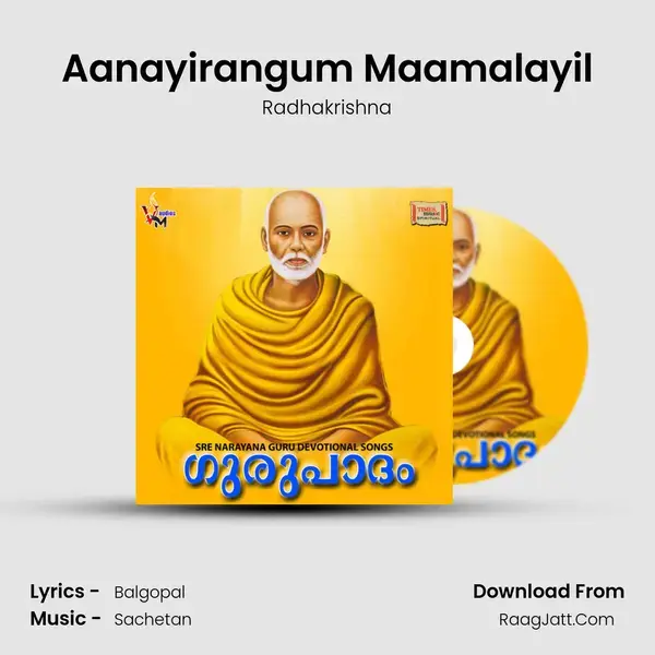 Aanayirangum Maamalayil Song mp3 | Radhakrishna