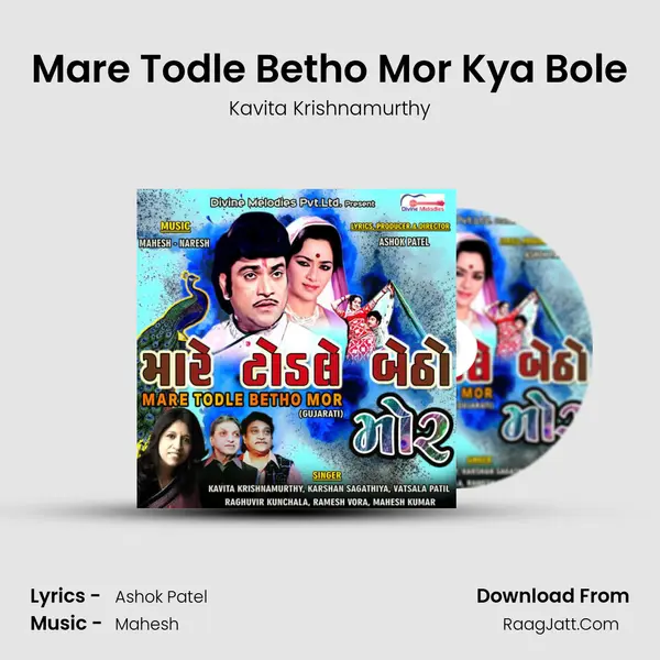 Mare Todle Betho Mor Kya Bole mp3 song