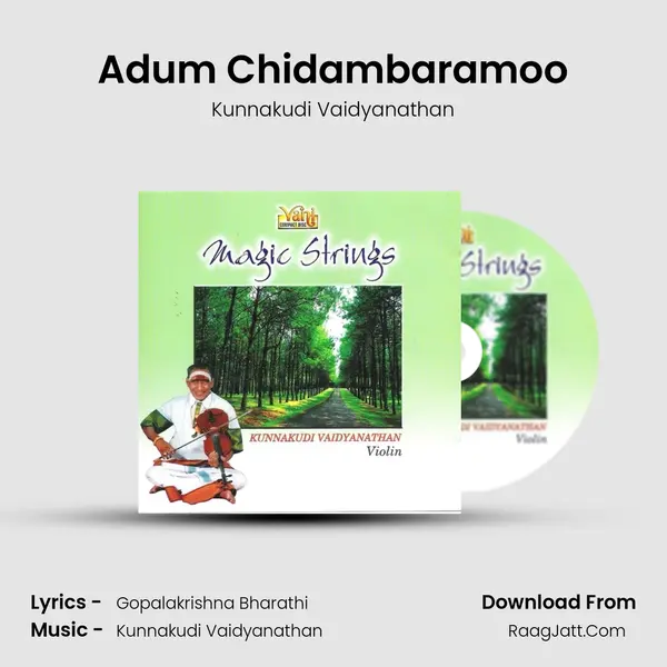 Adum Chidambaramoo Song mp3 | Kunnakudi Vaidyanathan