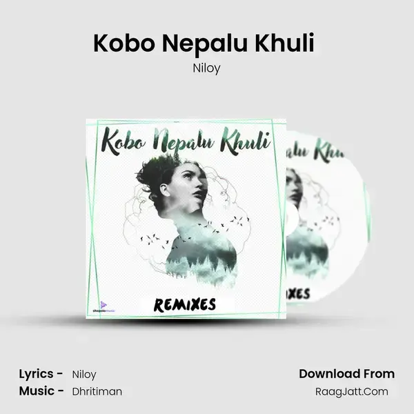 Kobo Nepalu Khuli (Dhritiman Remix) Song mp3 | Niloy