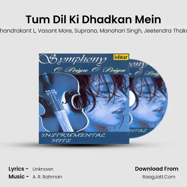 Tum Dil Ki Dhadkan Mein mp3 song