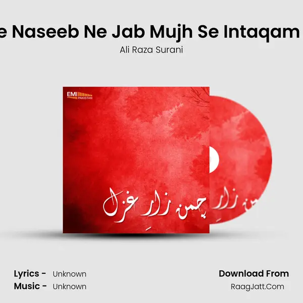 Mere Naseeb Ne Jab Mujh Se Intaqam Liya Song mp3 | Ali Raza Surani