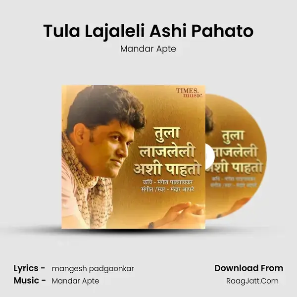 Tula Lajaleli Ashi Pahato mp3 song