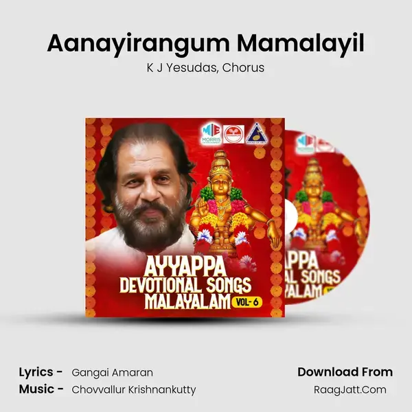 Aanayirangum Mamalayil mp3 song