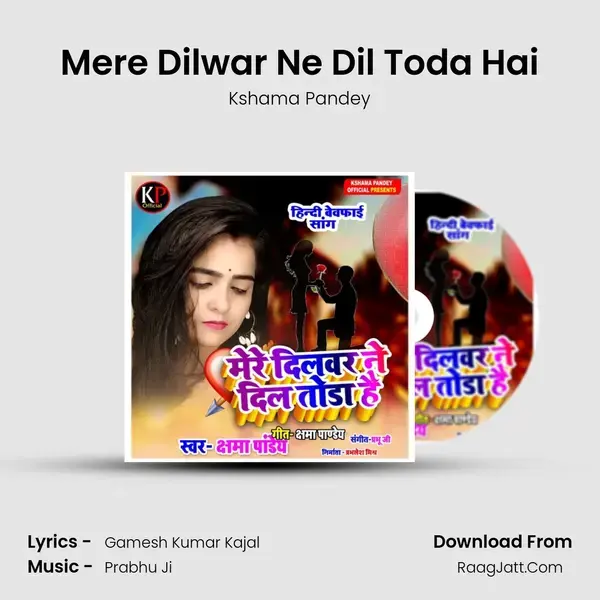 Mere Dilwar Ne Dil Toda Hai mp3 song