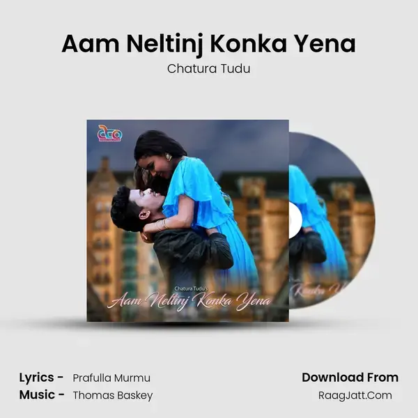 Aam Neltinj Konka Yena Song mp3 | Chatura Tudu