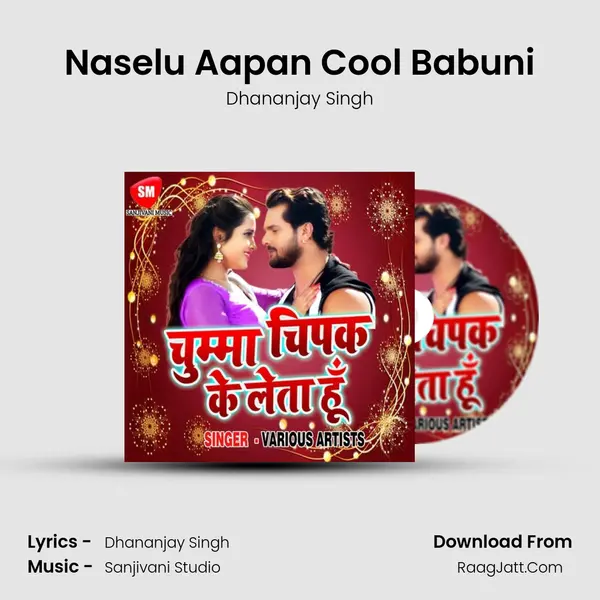 Naselu Aapan Cool Babuni Song mp3 | Dhananjay Singh