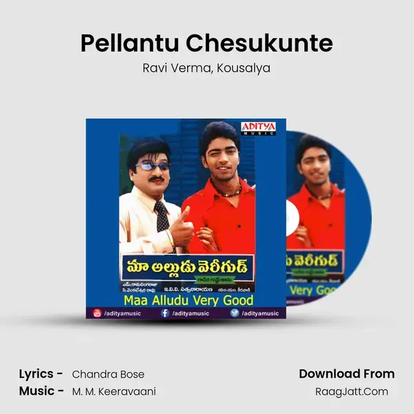 Pellantu Chesukunte Song mp3 | Ravi Verma