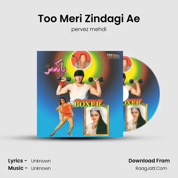 Too Meri Zindagi Ae mp3 song