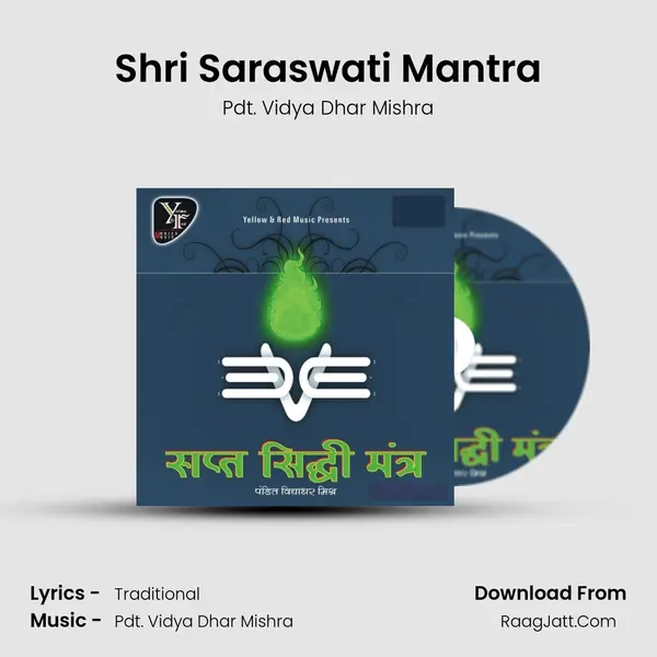 Shri Saraswati Mantra Song mp3 | Pdt. Vidya Dhar Mishra