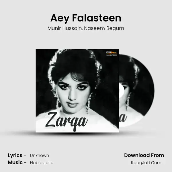 Aey Falasteen mp3 song