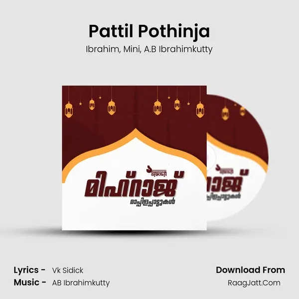 Pattil Pothinja mp3 song