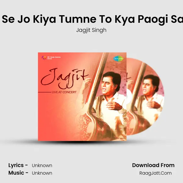 Pyar Mujh Se Jo Kiya Tumne To Kya Paogi Saath Saath Song mp3 | Jagjit Singh