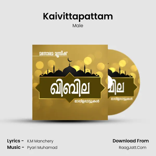 Kaivittapattam mp3 song