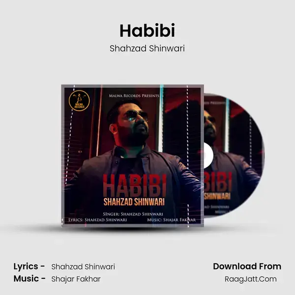 Habibi Song mp3 | Shahzad Shinwari