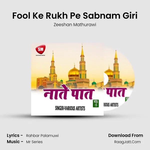 Fool Ke Rukh Pe Sabnam Giri Song mp3 | Zeeshan Mathurawi